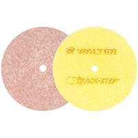 Quick-Step Instant Polish Discs, 5" Dia. Action Paper
