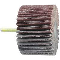 Disque &agrave; lamelles mont&eacute; sur mandrin, Grain 60, 1-1/2" x 1/4" Action Paper