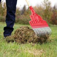 Multi-Purpose Lawn Rake, 20" Blade, 20 Tines, Hardwood Handle, Steel Blade Action Paper