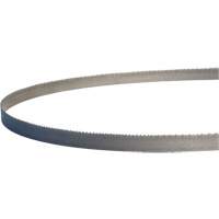 Master-Band&reg; Portable Band Saw Blades, Bi-Metal, 18 TPI, 44-7/8" L x 1/2" W Action Paper