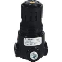 Wilkerson Miniature Regulator R03, 1/4" NPT, 300 psi Max. PSI, Standard Action Paper