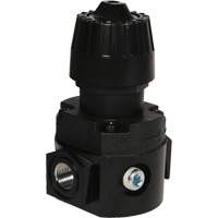 Wilkerson Compact Regulator R16, 1/4" NPT, 300 psi Max. PSI, Standard Action Paper