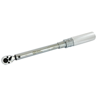 Micro-Adjustable Torque Wrench, Click, 3/8" Square Drive, 30 - 250 in-lbs. Action Paper