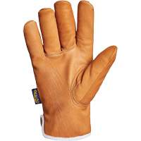 Endura&reg; Gloves, Large, Synthetic Palm, Thinsulate Inner Lining Action Paper