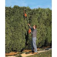Ensemble de taille-haie sur perche sans fil Max* Action Paper