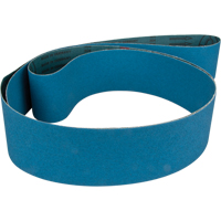 Blue Abrasive Belt Action Paper
