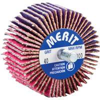 Mini-meule &agrave; lamelles filet&eacute;es, C&eacute;ramique d'alumine, Grain 40, 2" x 1" x 1/4"-20 Action Paper