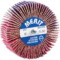 Mini-meule &agrave; lamelles filet&eacute;es, C&eacute;ramique d'alumine, Grain 40, 3" x 1" x 1/4"-20 Action Paper