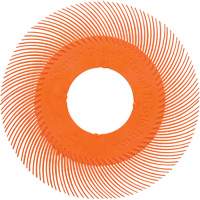 Brosse radiale en soies de pr&eacute;cision type C PN-RB sans adaptateur Scotch-Brite , C&eacute;ramique, Grain 80+, 6" dia. Action Paper