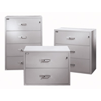 Fire Resistant Filing Cabinets, Steel, 4 Drawers, 38-3/4" W x 23-1/2" D x 55" H, Black Action Paper