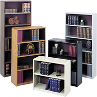 Value Mate&reg; Steel Bookcase Action Paper