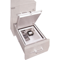 Data Protection Media Safes Action Paper