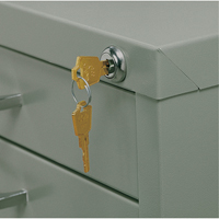 Steel Plan Files Action Paper