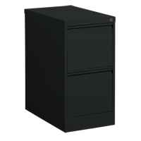 Vertical Filing Cabinet, Steel, 2 Drawers, 15-1/7" W x 25" D x 29" H, Black Action Paper