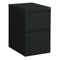 Vertical Filing Cabinet, Steel, 2 Drawers, 18-1/7" W x 25" D x 29" H, Black Action Paper