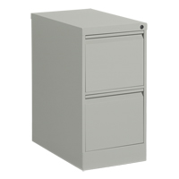 Vertical Filing Cabinet, Steel, 2 Drawers, 15-1/7" W x 25" D x 29" H, Grey Action Paper