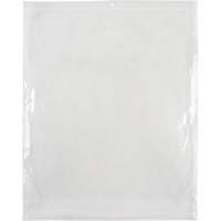 Poly Bags, Reclosable, 15" x 12", 2 mils PF961 | Action Paper