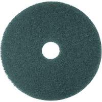 5300 Series Pad, 16", Cleaning, Blue PG207 | Action Paper