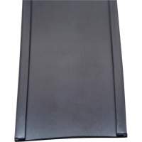 Card Holder, Magnetic, 600" L x 2" W Action Paper