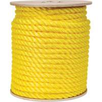 Braided Yellow Rope, Polypropylene, 300' Action Paper