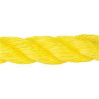 Braided Yellow Rope, Polypropylene, 300' Action Paper