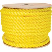 Braided Yellow Rope, Polypropylene, 144' Action Paper