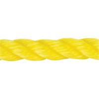 Braided Yellow Rope, Polypropylene, 144' Action Paper