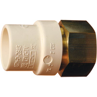 Adaptateur de tuyau filet&eacute;, Noeud x FPT, 1" dia., Laiton/PVC-C Action Paper