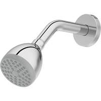 One-Function Showerhead Action Paper