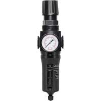 Manual Drain Filter/Regulator with Metal Bowl Modulair 300, 1/4" NPT, 250 PSI, 5.1 fl. oz. Capacity Action Paper