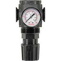 Regulator with Gauge Modulair 300, 1/4" NPT, 300 psi Max. PSI, In Line/Modular Action Paper