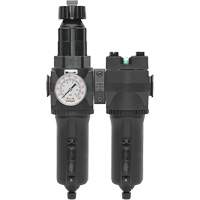 Manual Drain Filter, Regulator & Coalescing Filter with Metal Bowl Modulair 400, 1/4" NPT, 200 psi, 9.1 fl. oz. Capacity Action Paper