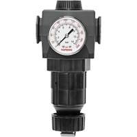 Regulator with Gauge Modulair 400, 3/4" NPTF, 125 PSI Max. PSI, In Line/Modular Action Paper