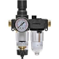 Filter/Regulator & Lubricator with Gauge Modulair 200, 1/4" NPTF Action Paper