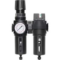 Filter/Regulator & Coalescing Filter Modulair 300 with Standard Bowl & Manual Drain, 3/8" NPTF, 150 PSI, 5.12 fl. oz. Capacity Action Paper