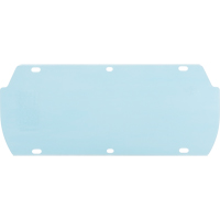 Facetec Polycarbonate Visor, Polycarbonate, Clear Tint Action Paper