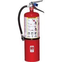 Fire Extinguisher, ABC, 10 lbs. Capacity Action Paper
