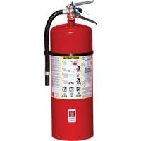 Fire Extinguisher, ABC, 20 lbs. Capacity Action Paper