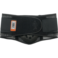 Proflex&reg; 1051 Mesh with Lumbar Pad, Mesh, Small Action Paper