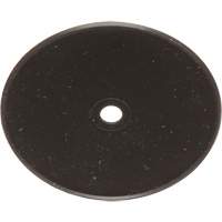 Replacement Inhalation Valves Action Paper