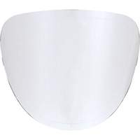 Replacement Lenses Action Paper