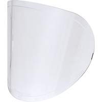 Replacement Lenses Action Paper