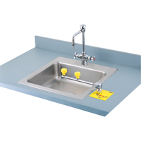 Poste de douche oculaire Swing-Away, Installation Montage sur comptoir Action Paper