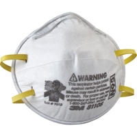 8110S Particulate Respirators, N95, NIOSH Certified, Small Action Paper