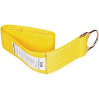 Anchorage Connector Straps, D-Ring, Temporary Use Action Paper