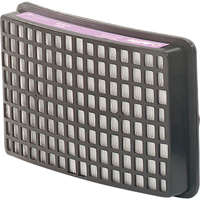 Speedglas Respiratory Protection-replacement Filters & Cartridges, P100 Filter, Pack of 2 Action Paper