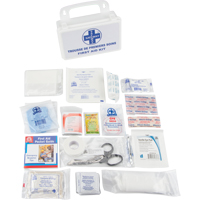 First Aid Kit, Class 1 Medical Device, Plastic B Action Paper