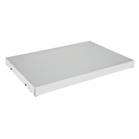 Extra Shelf for Sure-Grip&reg; Ex Flammable Storage Cabinet Action Paper