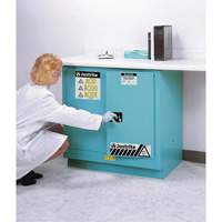 Armoires de s&eacute;curit&eacute; pour acides & produits corrosifs avec doublure ChemCor, 22 gal., 35" x 35" x 22" Action Paper