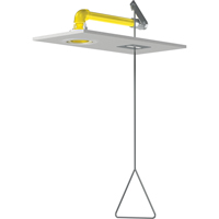 Horizontal Supply Emergency Shower Stations, Ceiling-Mount Action Paper